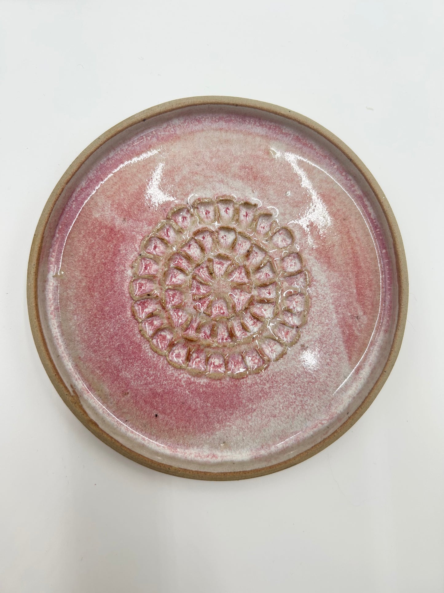 Garlic Grater Plate - Raspberry