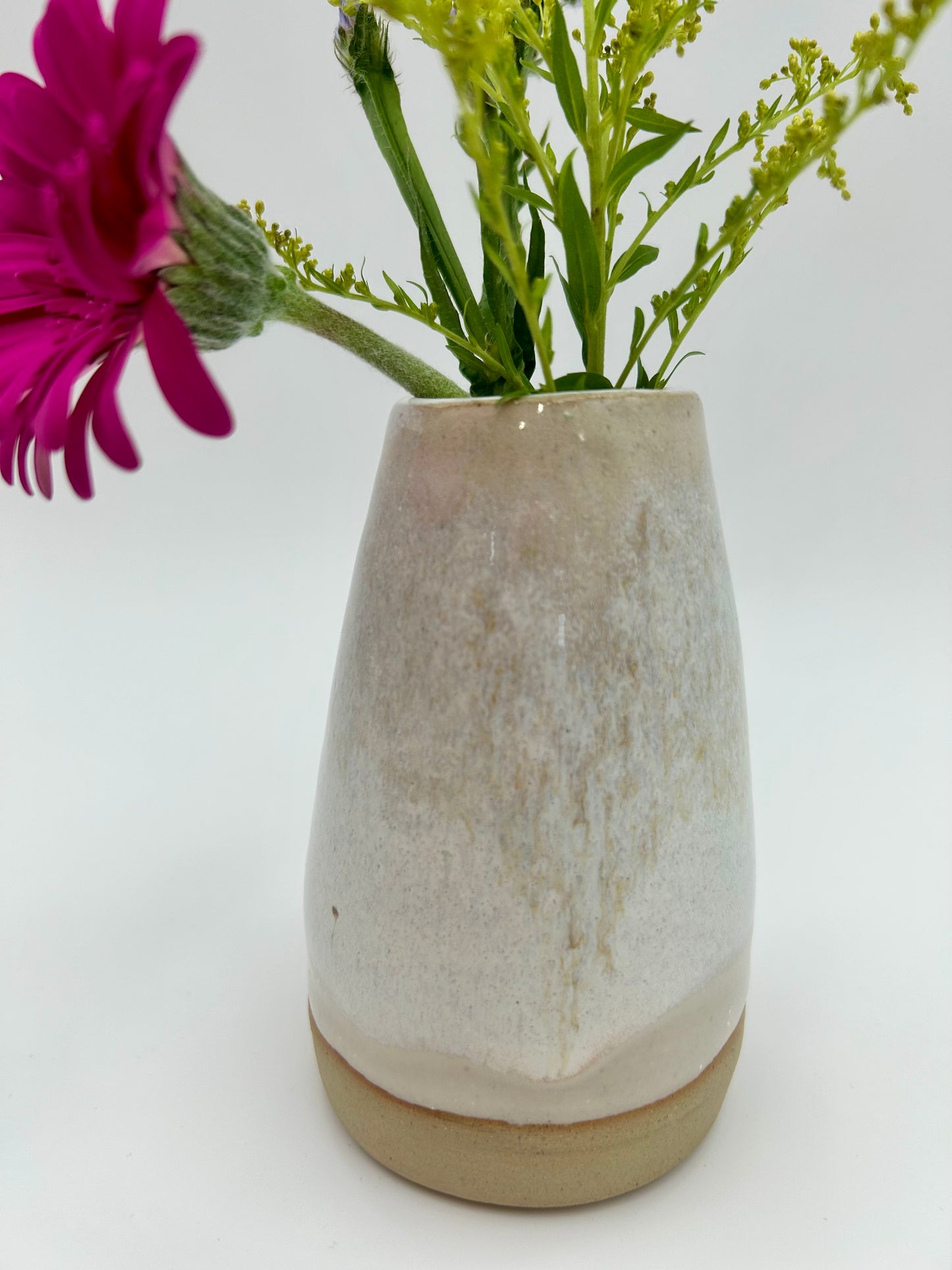 Bud Vase - Various Colours