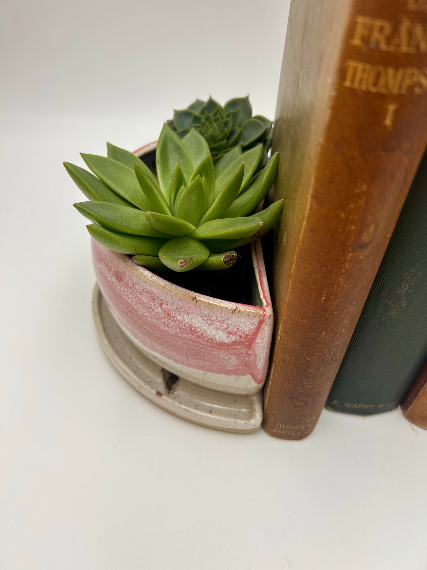 Bookend / Windowsill Planter - Raspberry