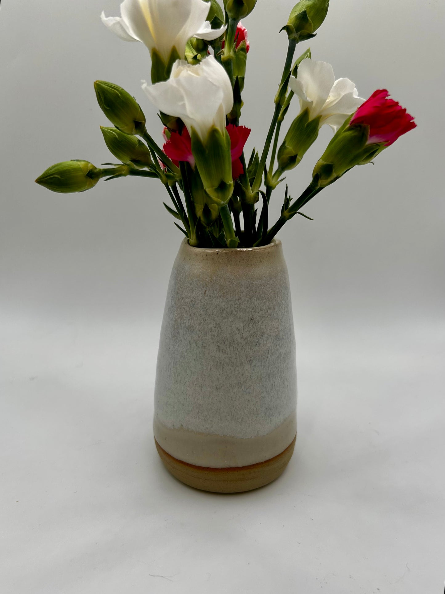 Bud Vase - Various Colours
