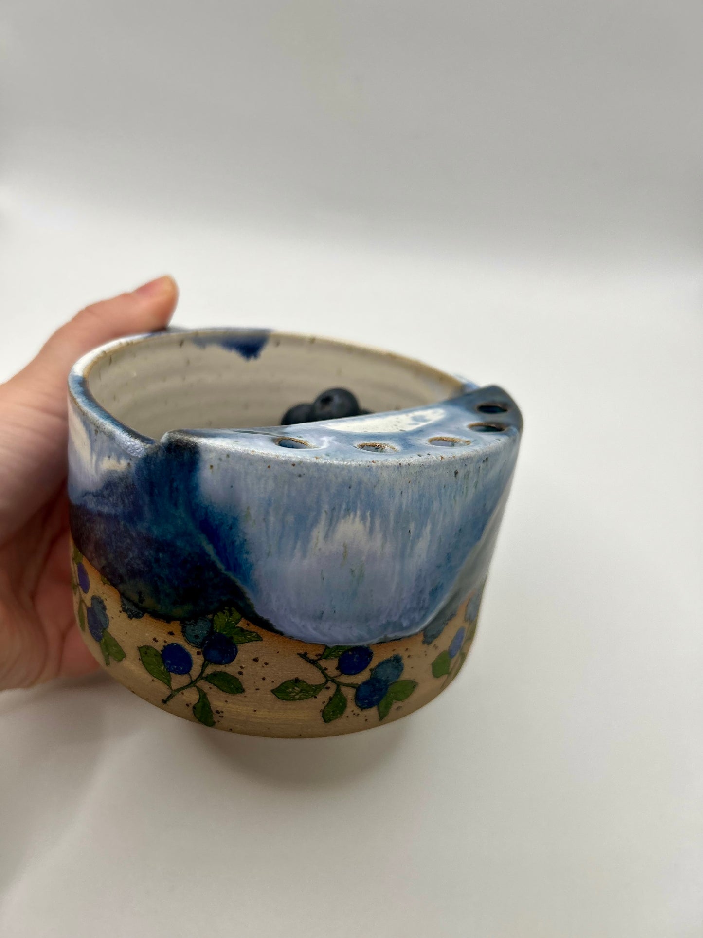 Fruity Berry Strainer - Blueberries