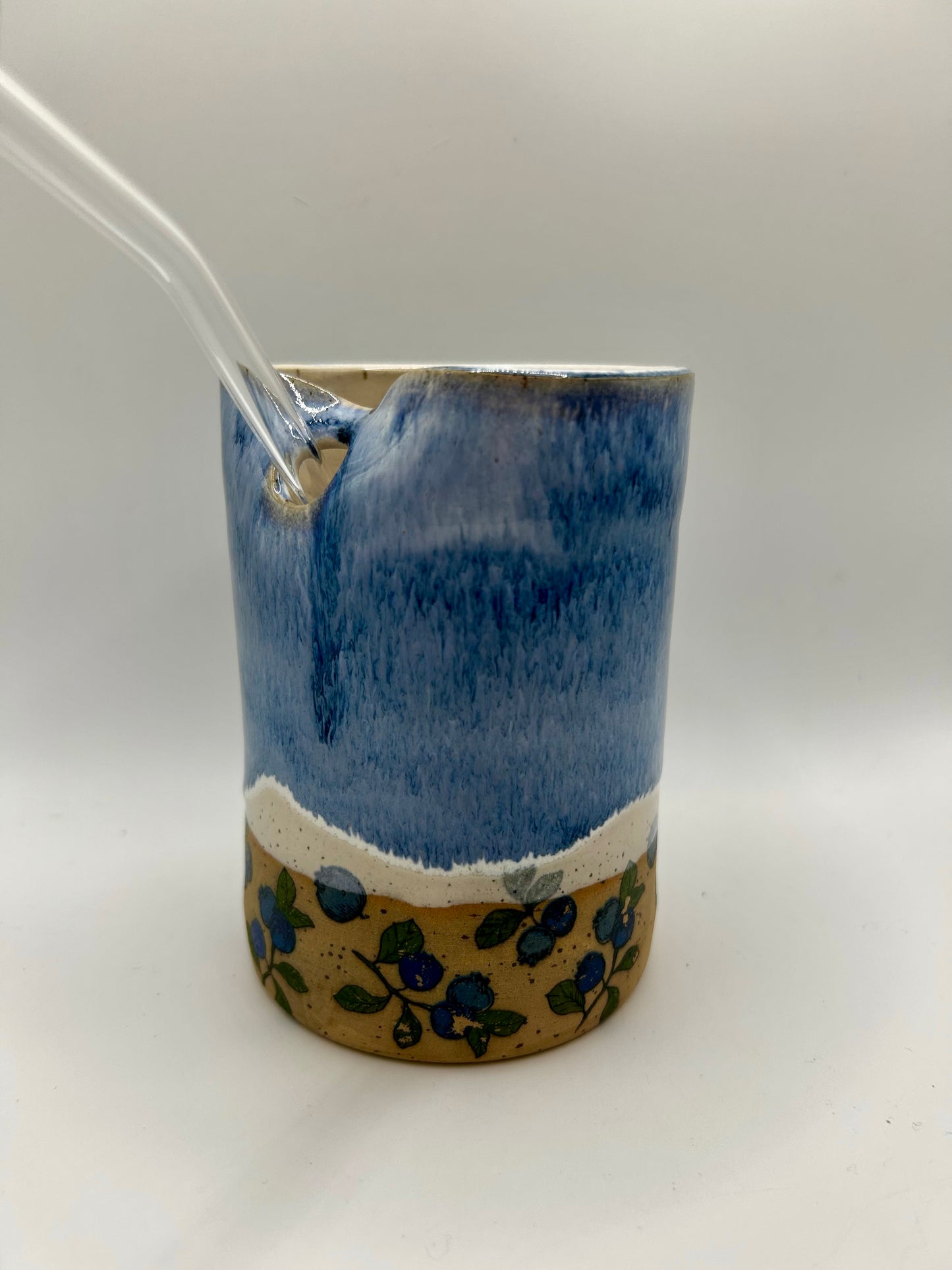 Fruity Straw Cup - Blueberries