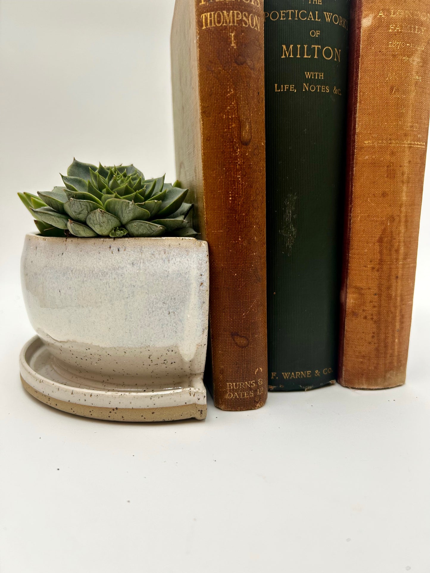 Bookend / Windowsill Planter - Ivory