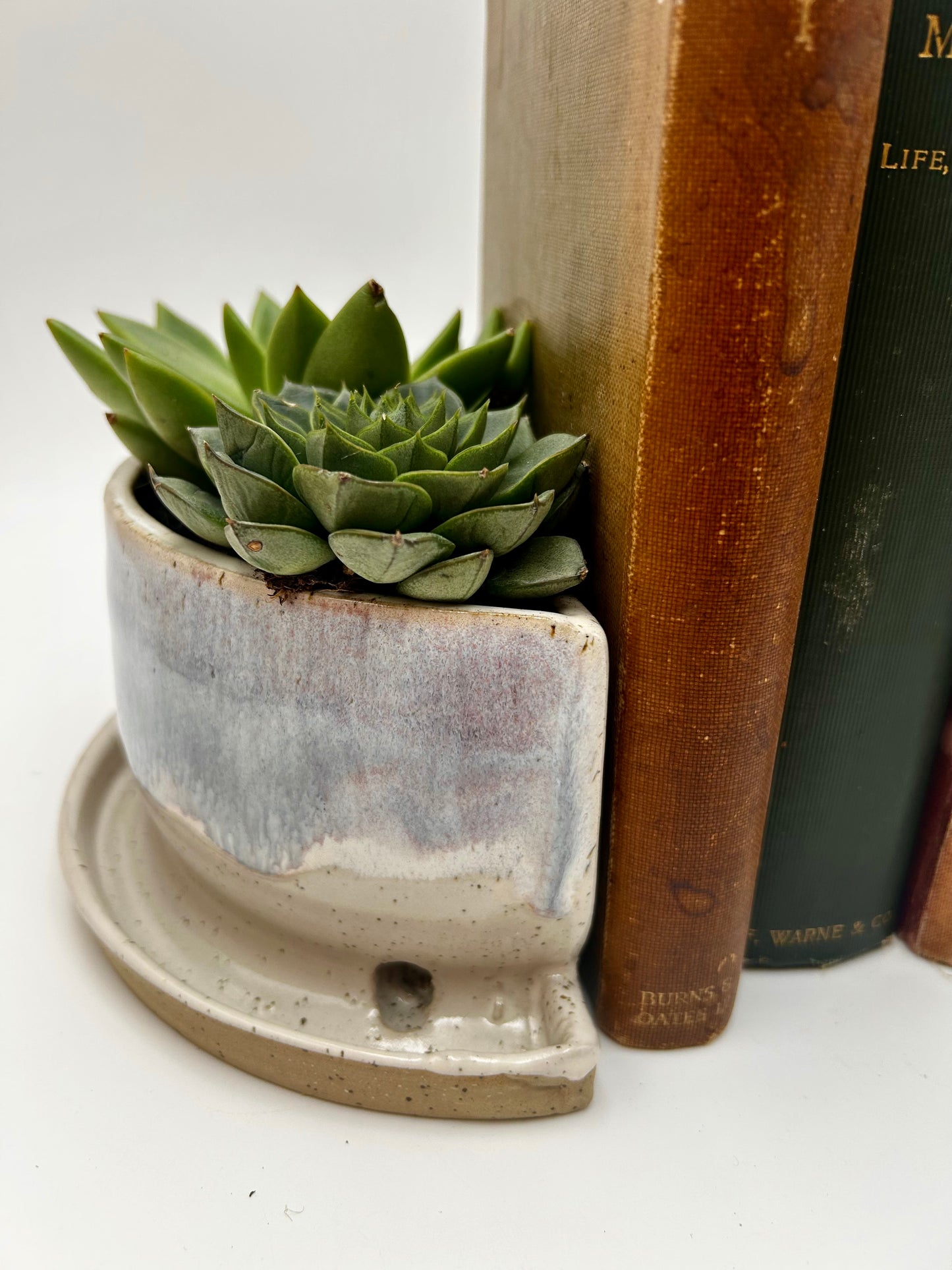 Bookend / Windowsill Planter - Autumn Purple