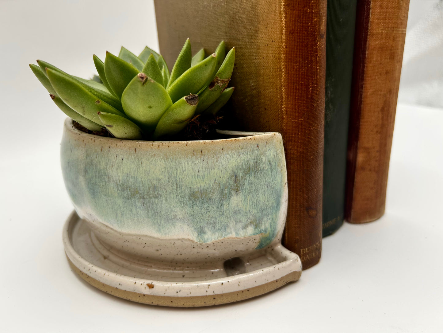 Bookend / Windowsill Planter - Green Tea