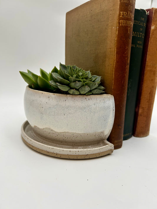 Bookend / Windowsill Planter - Ivory
