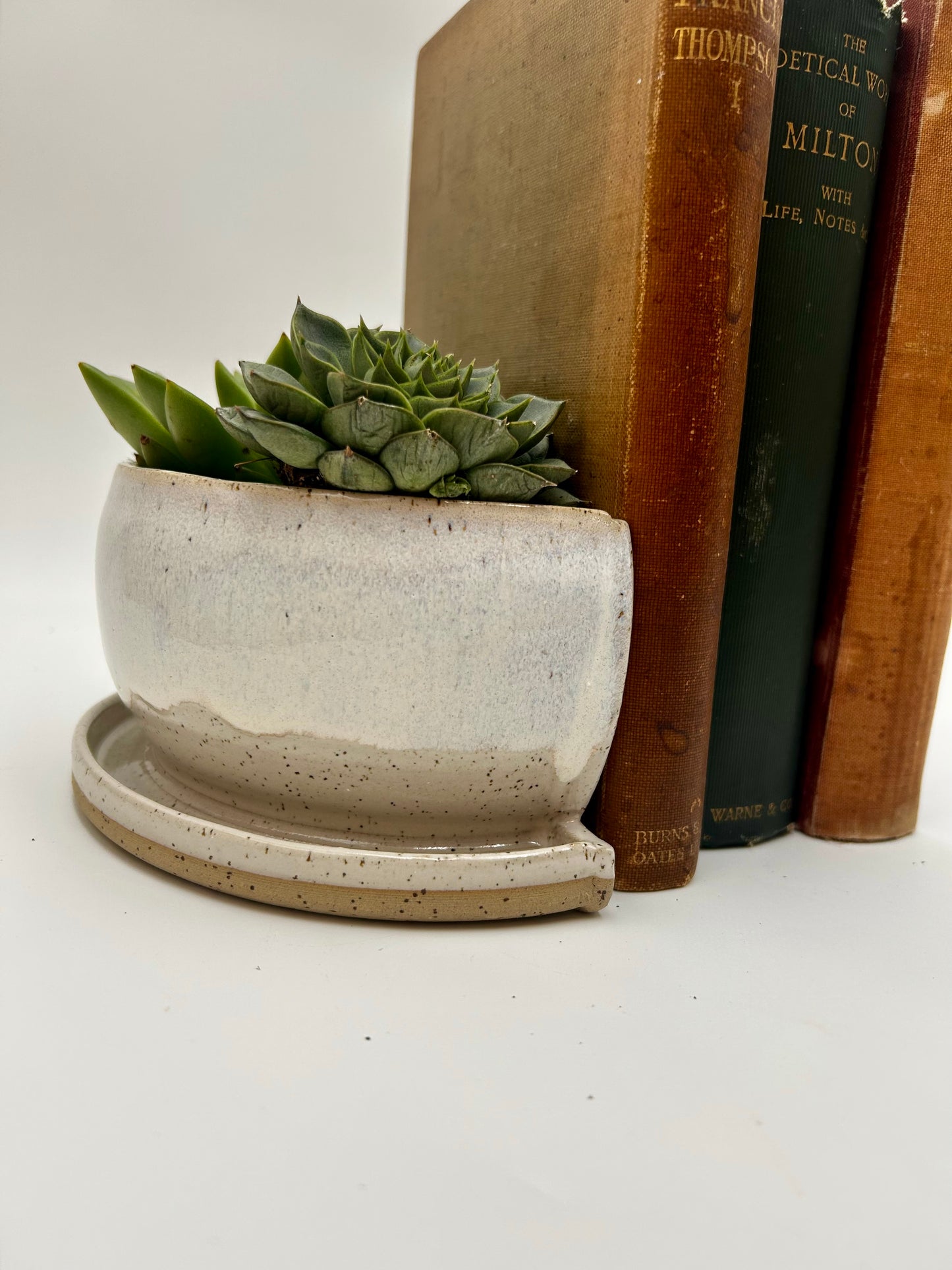 Bookend / Windowsill Planter - Ivory