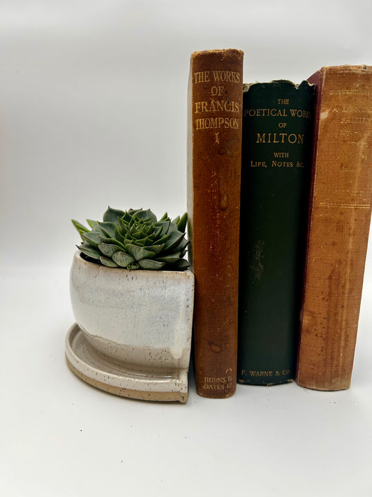 Bookend / Windowsill Planter - Ivory