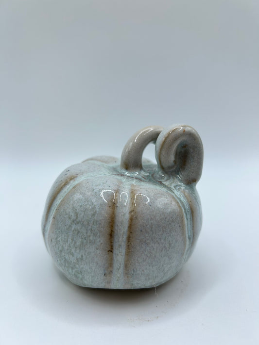 Pumpkin #9 - Small Sage