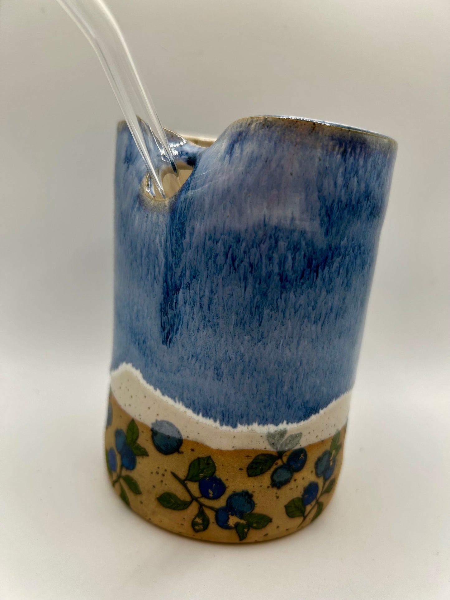 Fruity Straw Cup - Blueberries