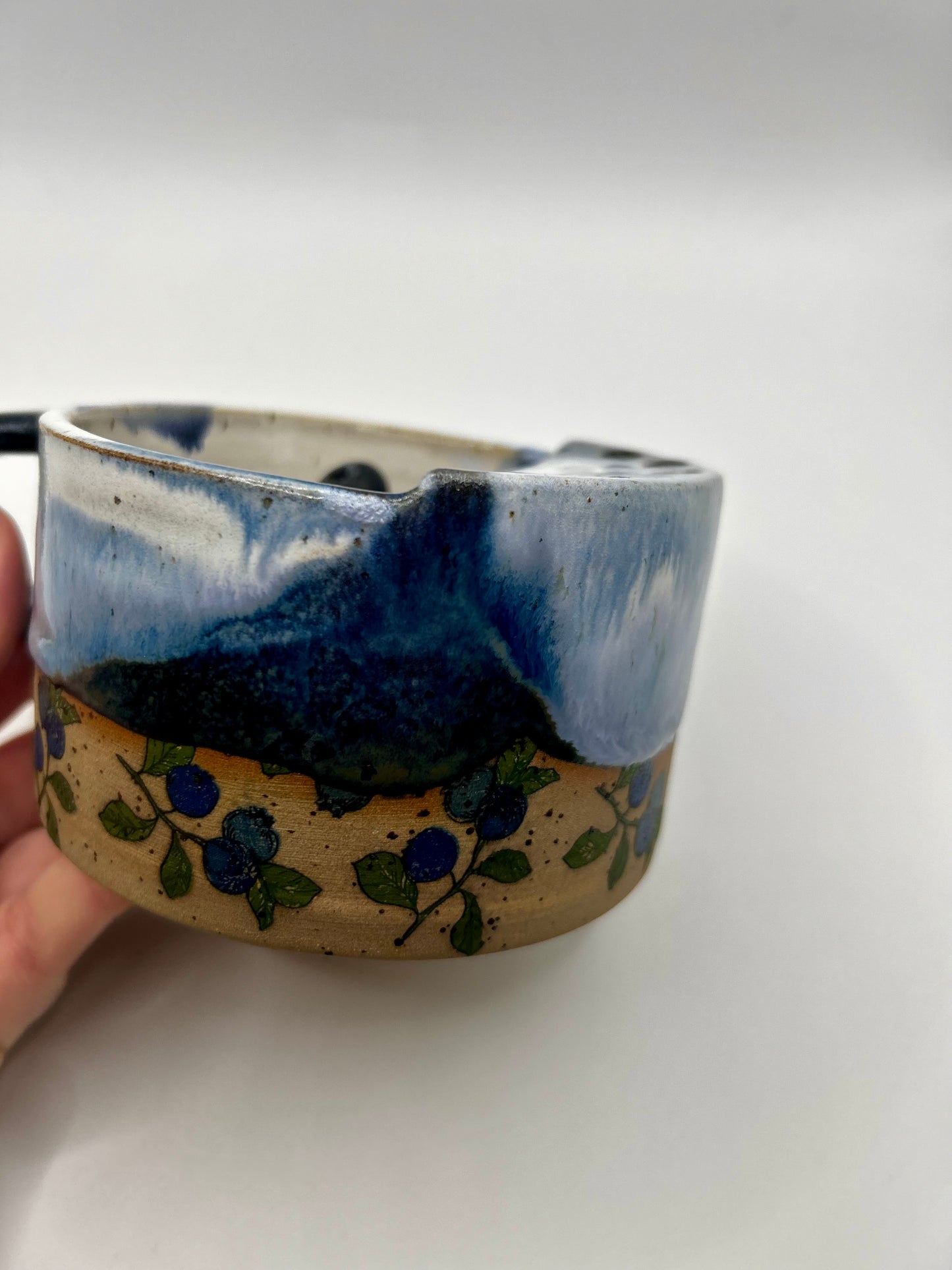 Fruity Berry Strainer - Blueberries