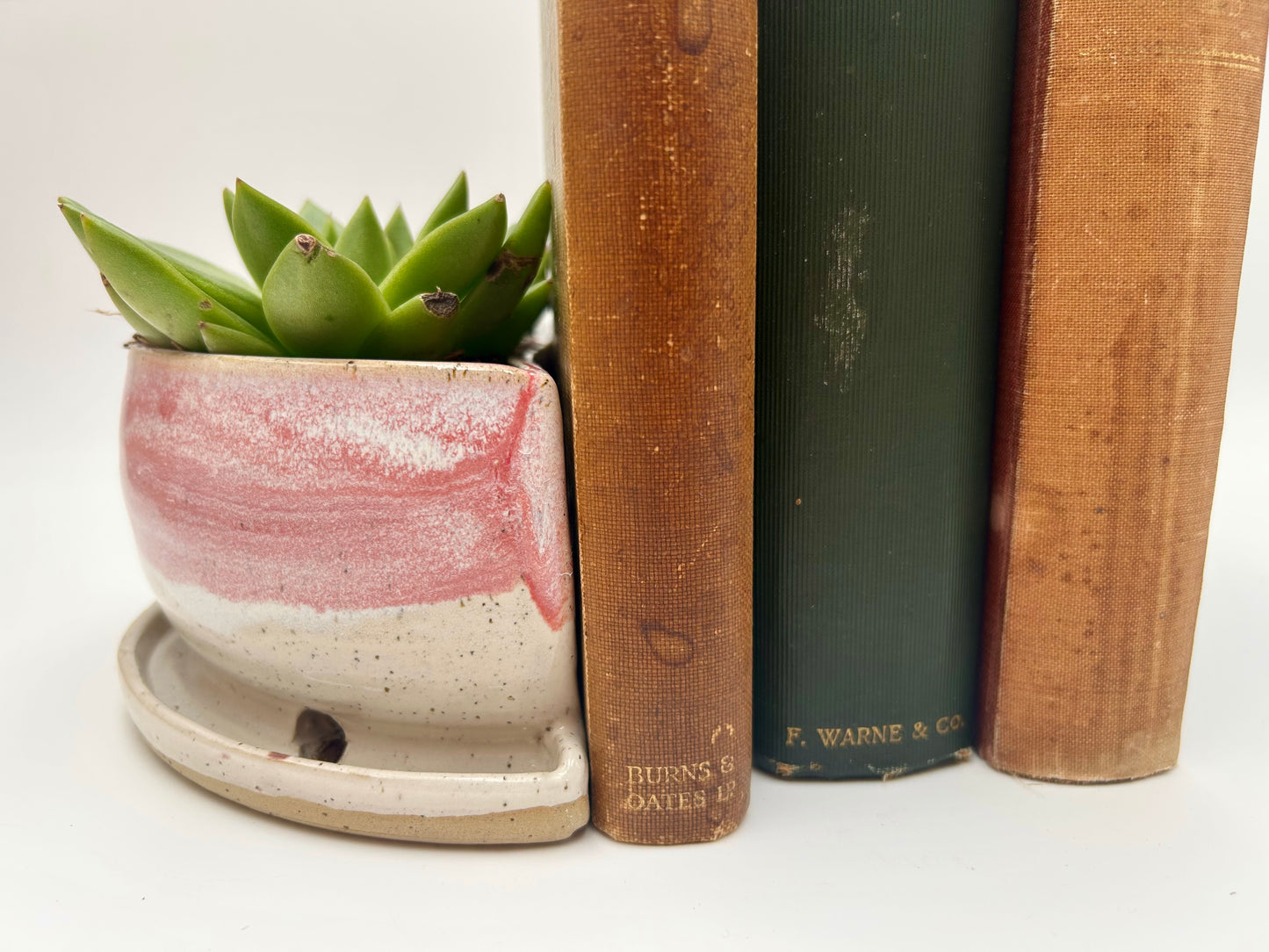 Bookend / Windowsill Planter - Raspberry