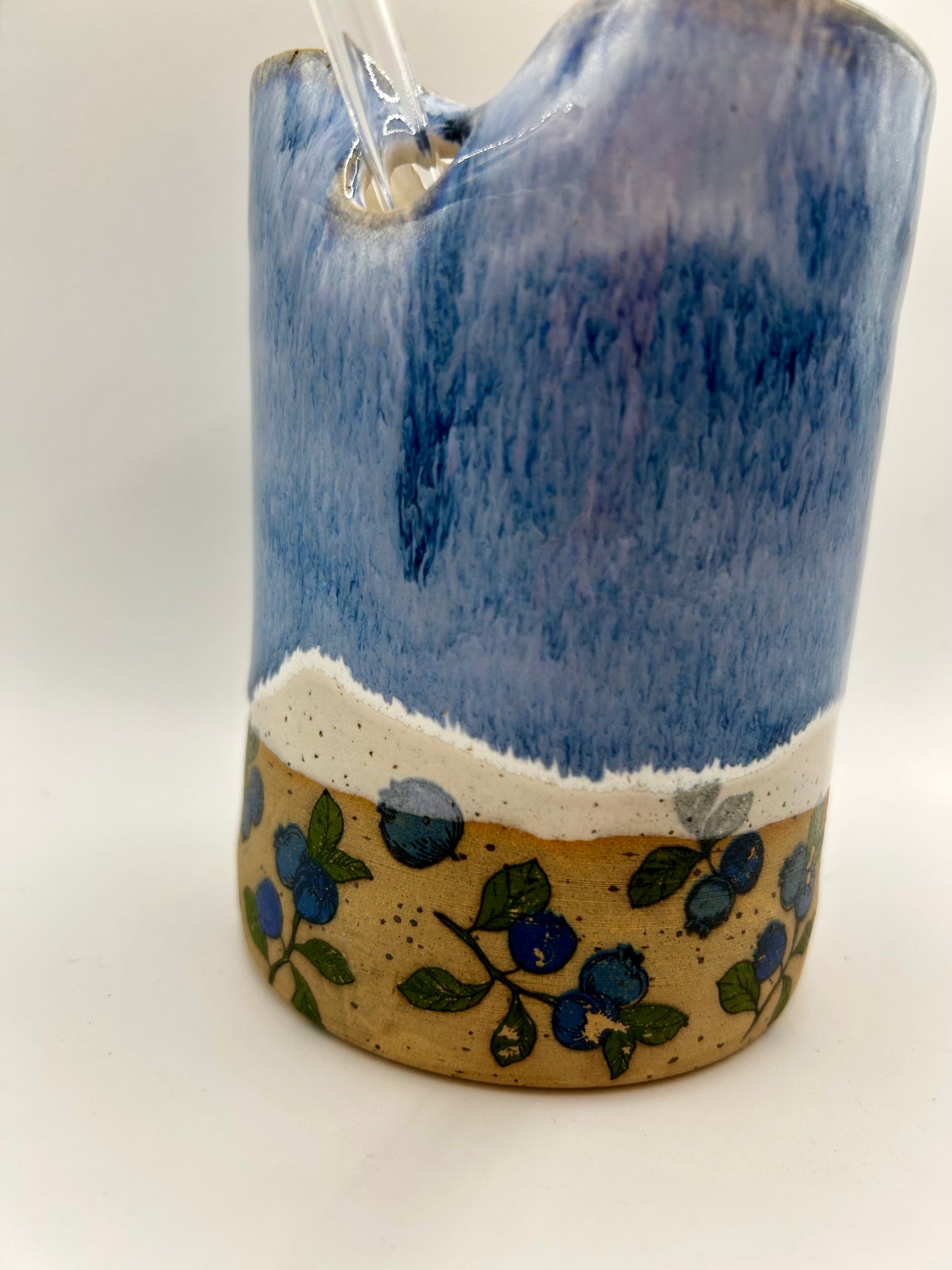 Fruity Straw Cup - Blueberries