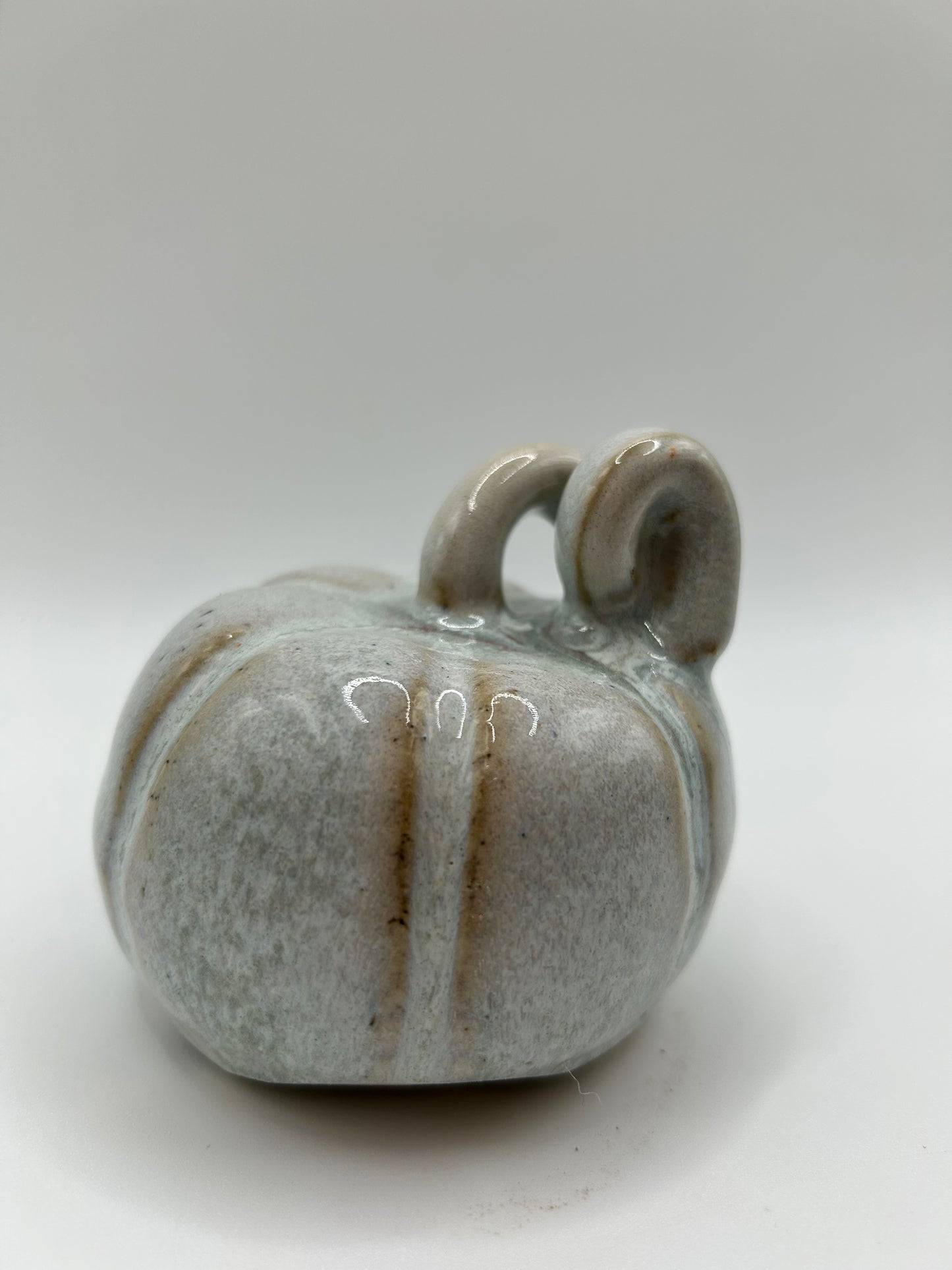 Pumpkin #9 - Small Sage