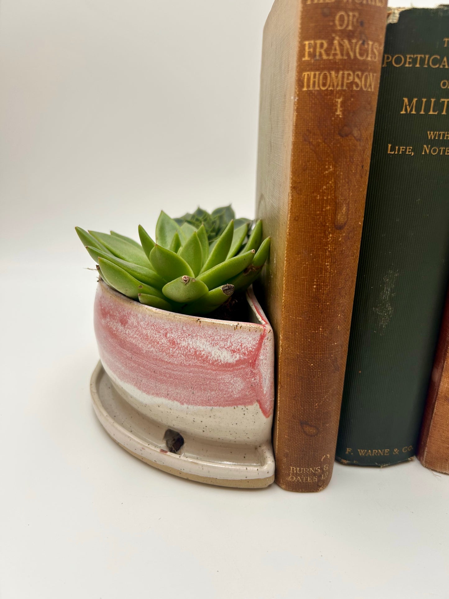 Bookend / Windowsill Planter - Raspberry