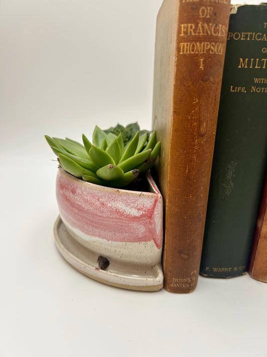 Bookend / Windowsill Planter - Raspberry
