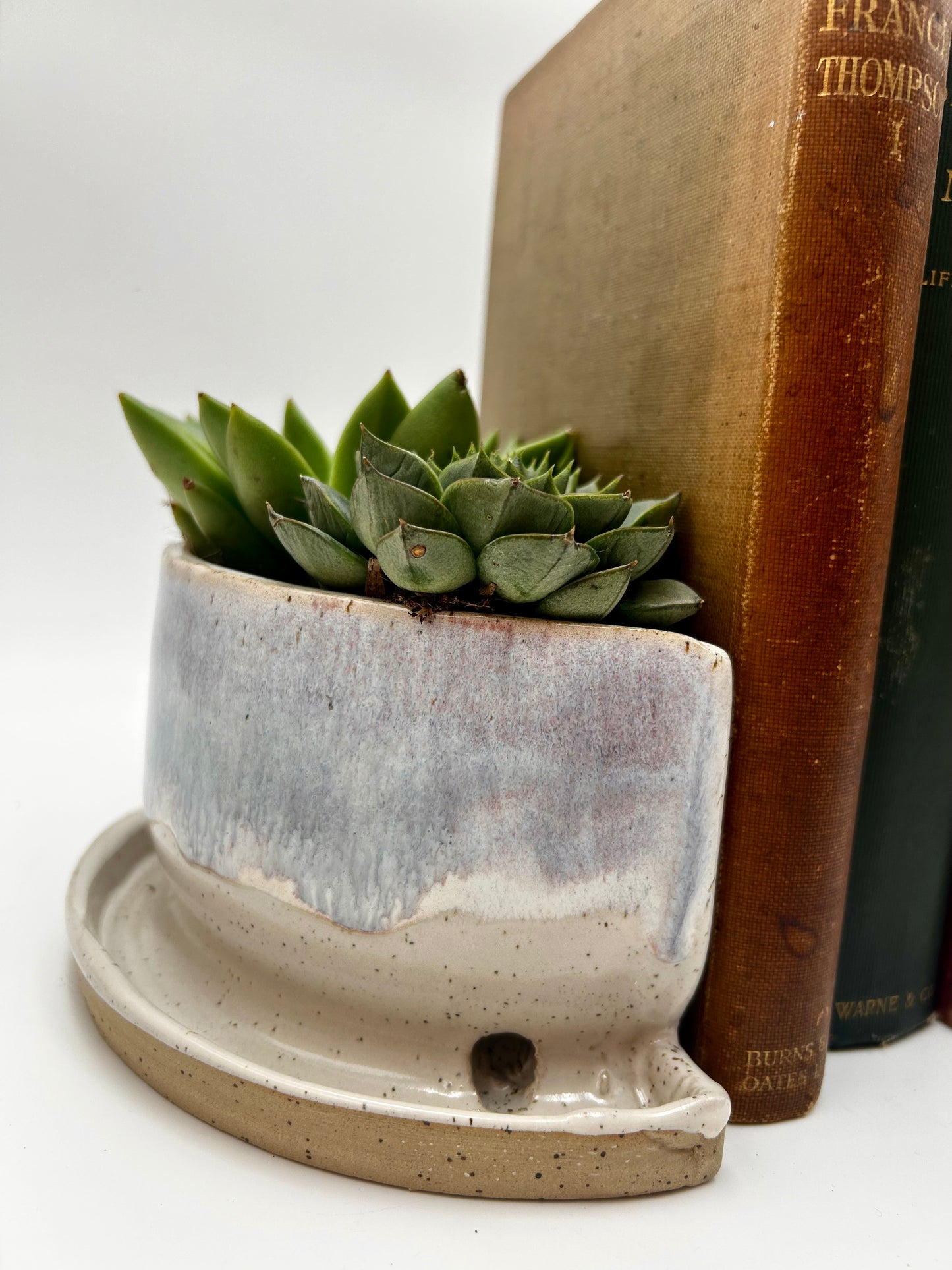 Bookend / Windowsill Planter - Autumn Purple