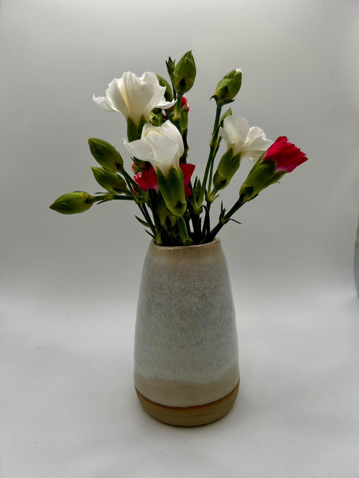 Bud Vase - Various Colours
