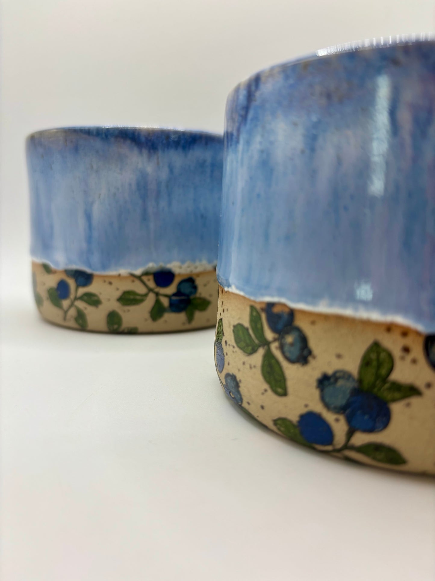Fruity Mug - Blueberries