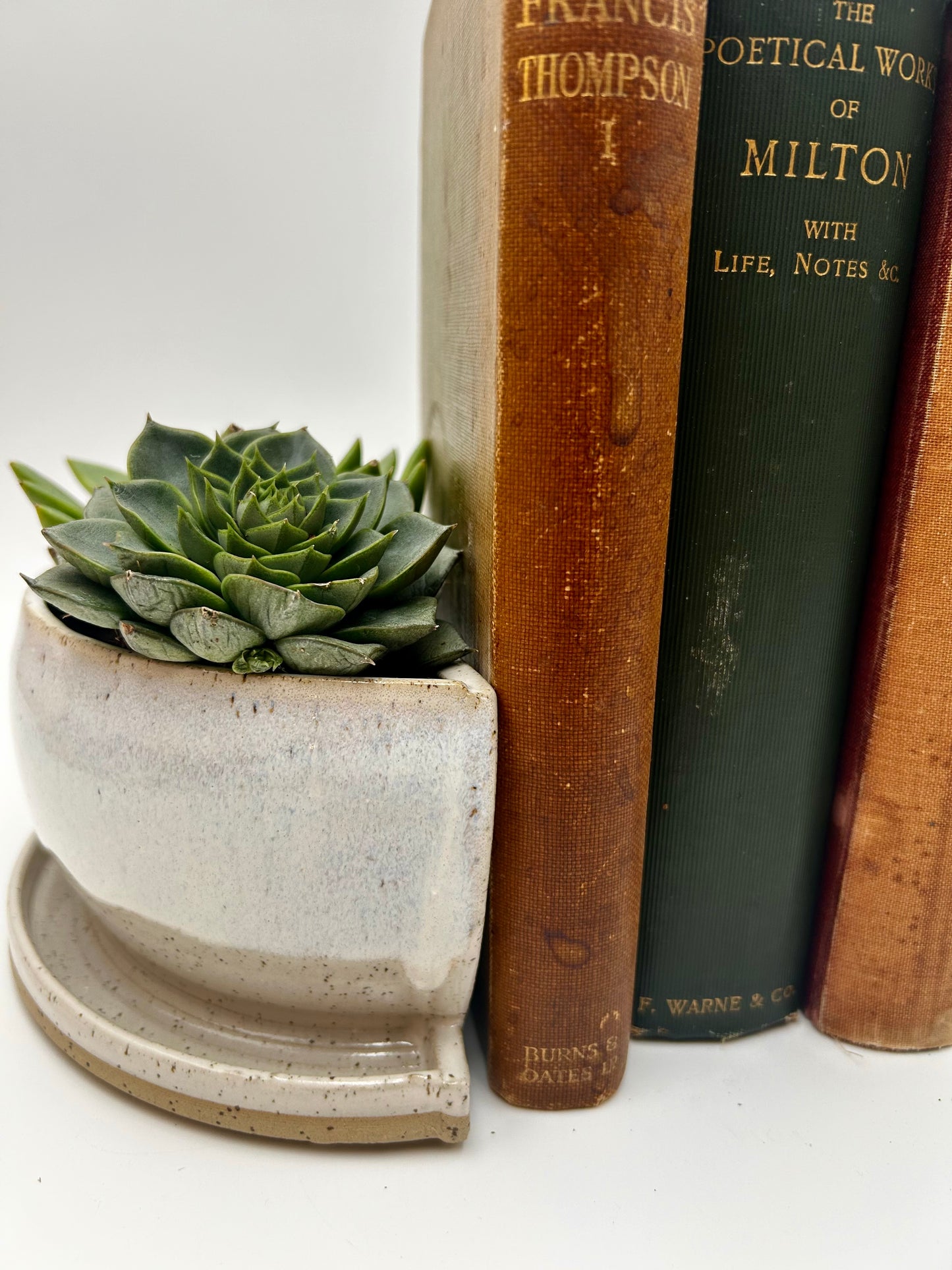 Bookend / Windowsill Planter - Ivory