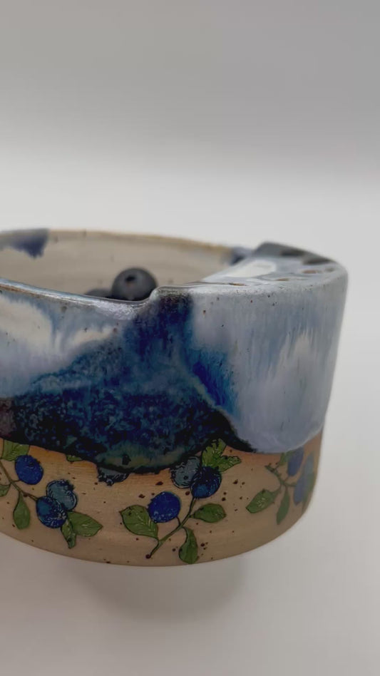 Fruity Berry Strainer - Blueberries